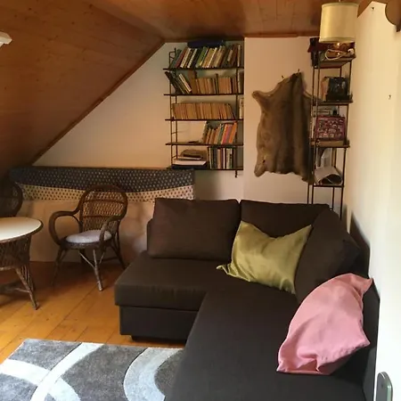 Cedrus Apartman 公寓 蒂豪尼