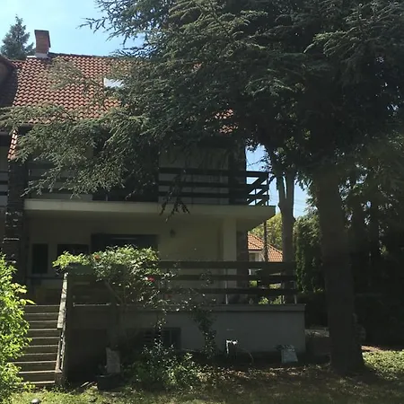 Cedrus Apartman